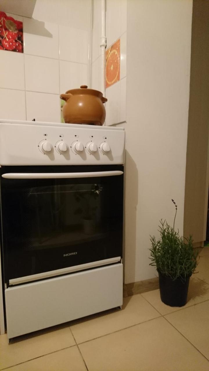 Comfortable Apartment On The River Bank Kiev Esterno foto